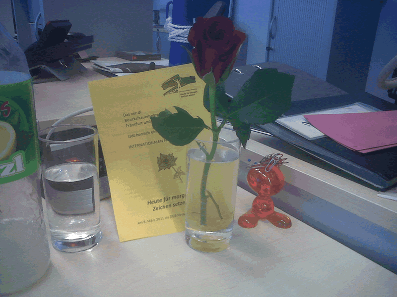 Bild_Rose_auf_meinem_Schreibtisch